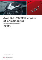 SSP 655 Audi 3,0l V6 TFSI Engine of EA839 series 